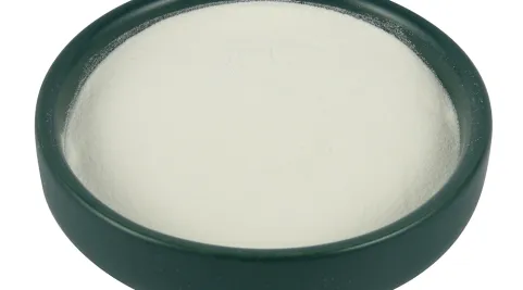 What is Fish Collagen?